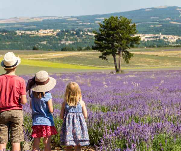 Three children standing in the middle of lavender fields looking at a village in the valley